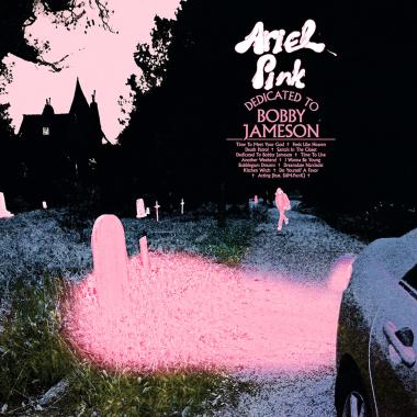 Ariel Pink -  Dedicated to Bobby Jameson